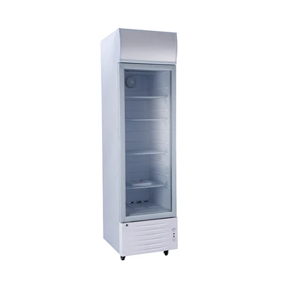 Refroidisseur vertical normal 12 V/24 V à porte unique LC-218
