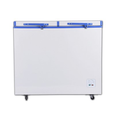 portes à double solaire normales BD/BC-358 de surgélateur 12v/24v d'épaisseur écumante de 65mm